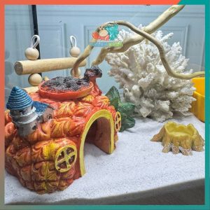 Combo nuôi ốc mượn hồn đầy đủ phụ kiện ( không kèm đèn ) B930