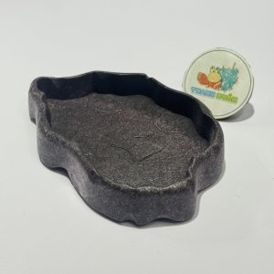 Đĩa thức ăn bát đựng nước màu đen