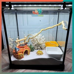 Combo nuôi ốc mượn hồn đầy đủ phụ kiện ( không kèm đèn ) B930