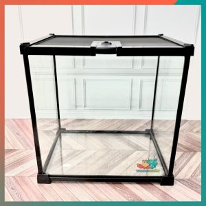 Combo nuôi ốc mượn hồn đầy đủ phụ kiện ( không kèm đèn ) B930