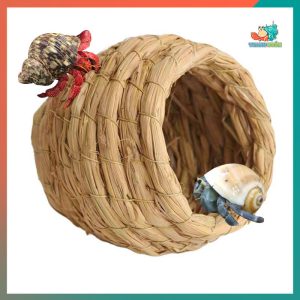 Tổ rơm cho chim , ốc mượn hồn làm nhà ngủ