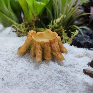 Bát ăn mini hình gốc cây xinh xắn cho thú cưng nhỏ