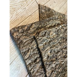 Tấm cork vỏ cây gỗ sồi làm nền chuồng nuôi tạo cảm giác thiên nhiên