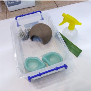 Bát ăn chén nước chén ăn cho bò sát ốc mượn hồn