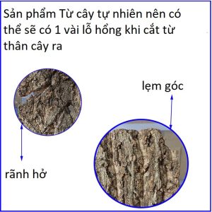 Tấm cork vỏ cây gỗ sồi làm nền chuồng nuôi tạo cảm giác thiên nhiên