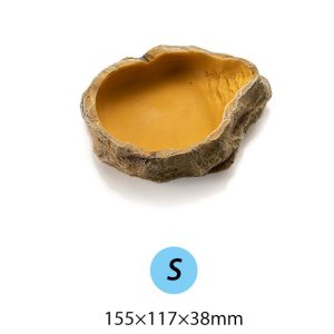 Bát ăn chén nước chén ăn cho bò sát ốc mượn hồn