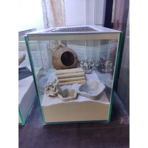 Gáo dừa thang handmade thiết kế dành cho ốc mượn hồn, sóc bay, chuột hamters, pet cưng