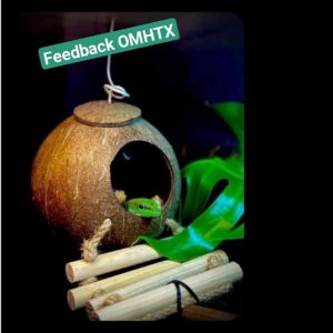 Gáo dừa thang handmade thiết kế dành cho ốc mượn hồn, sóc bay, chuột hamters, pet cưng