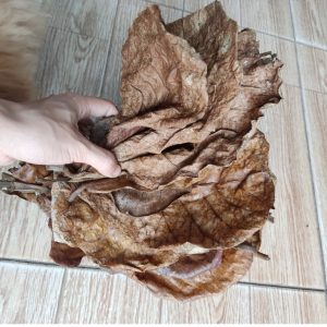 Cát trắng thủy sinh bịch 1000 gram