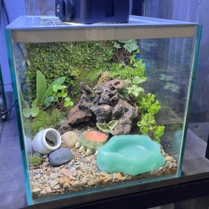 Bát ăn mini 4cm cho cua ma cà rồng, ốc nhỏ, và một số loài mini