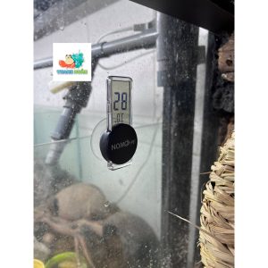 Nhiệt kế đo độ dán bể cá có thể thay pin hàng hãng Nomoypet