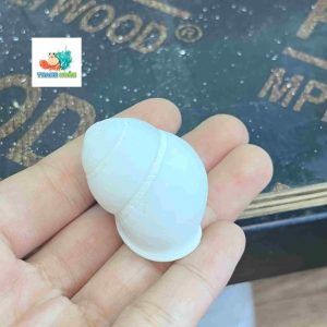 Vỏ ốc hoa trắng cỡ xs-s