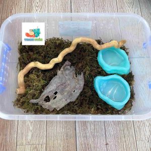 Combo nuôi tặng kèm OMH và phiếu hướng dẫn cho người mới kích thước 45x31x16cm