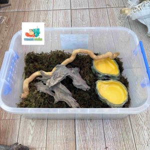 Combo nuôi tặng kèm OMH và phiếu hướng dẫn cho người mới kích thước 45x31x16cm