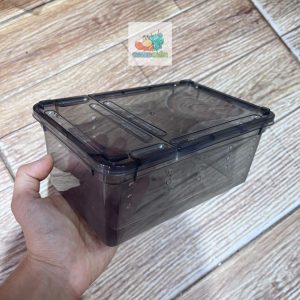 Combo hộp kèm phụ kiện nuôi isopod 19x12,5x7,5cm