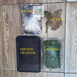 Combo hộp kèm phụ kiện nuôi isopod 19x12,5x7,5cm