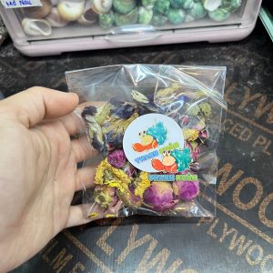 Hoa trộn các loại thức ăn cho Ốc Mượn Hồn tăng sắc tố có sẵn trong ốc