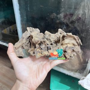 Lũa gỗ san đá nhỏ kích thước 15-20cm giao ngẫu nhiên