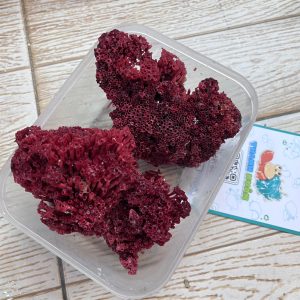 San hô đỏ màu tự nhiên là thức ăn và trang trí cho chuồng nuôi