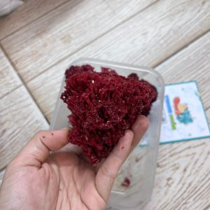 San hô đỏ màu tự nhiên là thức ăn và trang trí cho chuồng nuôi