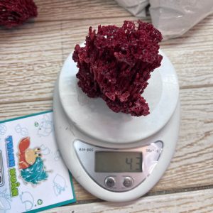 San hô đỏ màu tự nhiên là thức ăn và trang trí cho chuồng nuôi