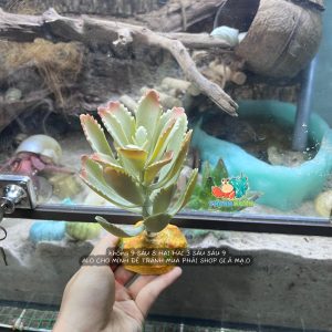 Cây giả trang trí QM48