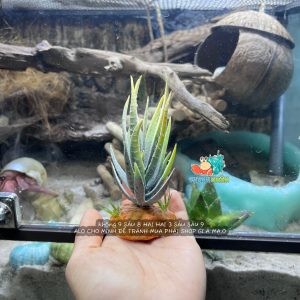 Cây giả trang trí chuồng bò sát chất liệu cao su dẻo