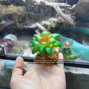 Cây giả trang trí chuồng bò sát chất liệu cao su dẻo