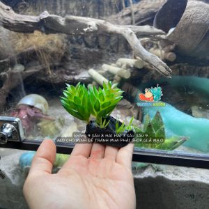 Cây giả trang trí chuồng bò sát mẫu tùy chọn