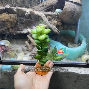 Cây giả trang trí chuồng bò sát mẫu tùy chọn