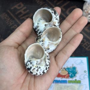 Vỏ ốc da rắn họa tiết ngẫu nhiên cỡ S VÀ XL
