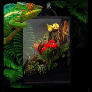 Chuồng kính 30x30x45cm cửa mở dành cho bò sát hoặc cây cảnh