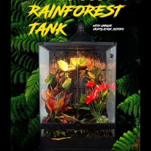 Chuồng kính 30x30x45cm cửa mở dành cho bò sát hoặc cây cảnh