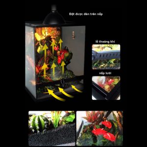 Chuồng kính 30x30x45cm cửa mở dành cho bò sát hoặc cây cảnh