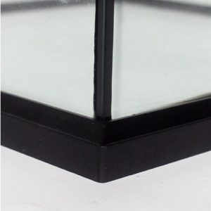 Chuồng kính 30x30x45cm cửa mở dành cho bò sát hoặc cây cảnh