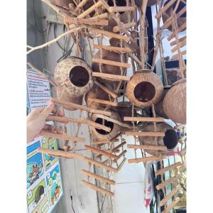 Gáo dừa thang handmade thiết kế dành cho ốc mượn hồn, sóc bay, chuột hamters, pet cưng