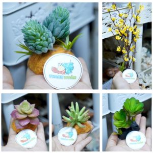 Cây giả trang trí chuồng nuôi bò sát và ốc mượn hồn