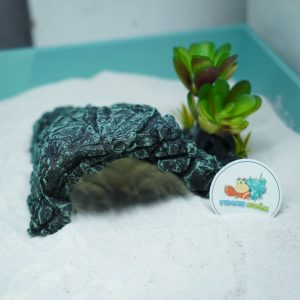 Hang trú ẩn nhựa đúc màu xanh rêu cho bò sát, ốc mượn hồn chống thấm nước, chống lật đổ