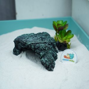 Hang trú ẩn nhựa đúc màu xanh rêu cho bò sát, ốc mượn hồn chống thấm nước, chống lật đổ