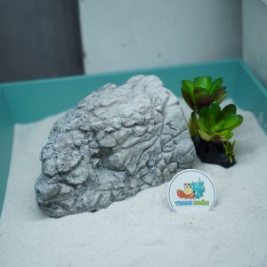 Hang trú ẩn cho ốc mượn hồn, bò sát nhỏ màu xám chống thấm nước, chống lật đổ