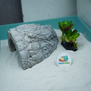 Hang trú ẩn cho ốc mượn hồn, bò sát nhỏ màu xám chống thấm nước, chống lật đổ