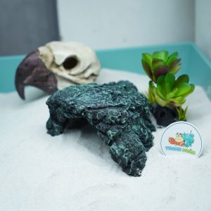 Hang trú ẩn nhựa đúc màu xanh rêu cho bò sát, ốc mượn hồn chống thấm nước, chống lật đổ