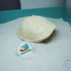 Hang trú ẩn hình mai rùa nhựa đúc màu vàng nhạt cho ốc mượn hồn