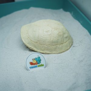 Hang trú ẩn hình mai rùa nhựa đúc màu vàng nhạt cho ốc mượn hồn