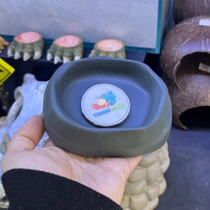 COMBO 2 Bát ăn chén nước màu xám tro có thể kết hợp 2 cái làm bát ăn chống kiến