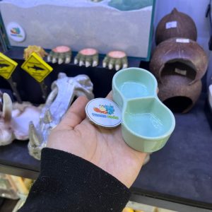 Bát 2 ngăn đựng nước màu xanh cho ốc mượn hồn hoặc thức ăn cho thú cưng khác