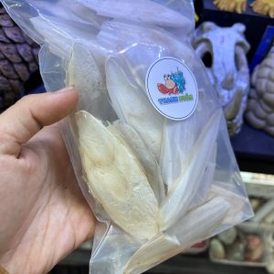 Vụn Mai mực, nang mực khô túi 100gam bổ sung canxi cho ốc mượn hồn, chim,....