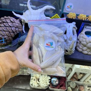 Vụn Mai mực, nang mực khô túi 100gam bổ sung canxi cho ốc mượn hồn, chim,....