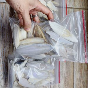 Vụn Mai mực, nang mực khô túi 100gam bổ sung canxi cho ốc mượn hồn, chim,....