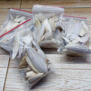 Vụn Mai mực, nang mực khô túi 100gam bổ sung canxi cho ốc mượn hồn, chim,....